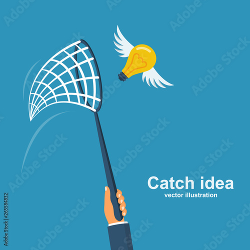 Businessman holding a netting for catch idea.
