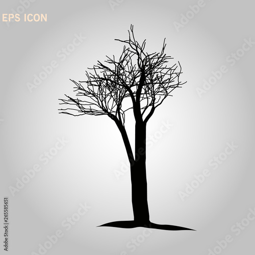 Norway maple architectonics. The structure of the tree branches and trunk. Vector drawing of the tree on a white background eps 10 © Elnur