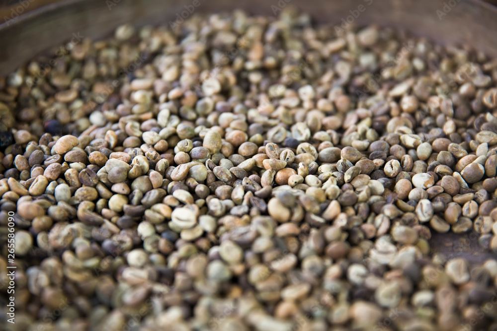 Raw Kopi Luwak coffee beans on coffee farm Raw Kopi Luwak coffee beans on coffee farm