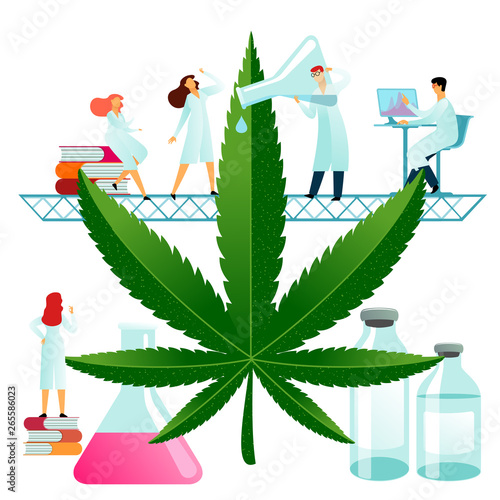 Vector flat illustration, big cannabis leaves on white background