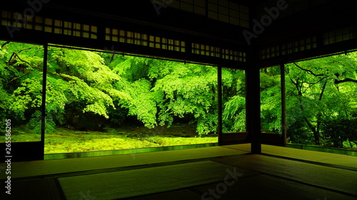 瑠璃光院の庭