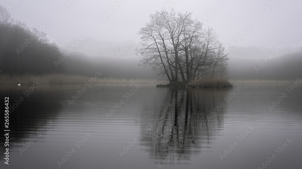 Island in the mist - Insel im Nebel