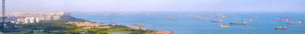 Singapore harbor cargo ships panorama
