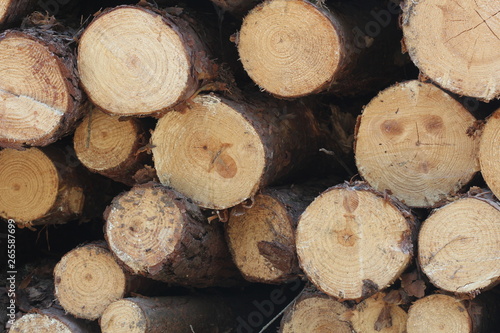 Wooden logs of pine woods in the forest, stacked in a pile by the side of the road. Freshly chopped tree logs stacked up on top of each other in a pile.