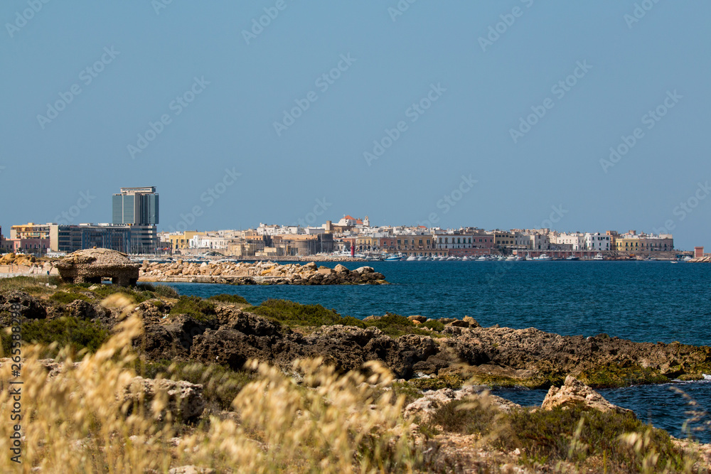 Panoramic view of gallipoli, a village near ionian sea, Apulia, Salento, Italy