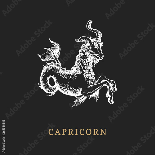 Capricorn zodiac symbol, hand drawn in engraving style. Vector graphic retro illustration of astrological sign Sea-goat.