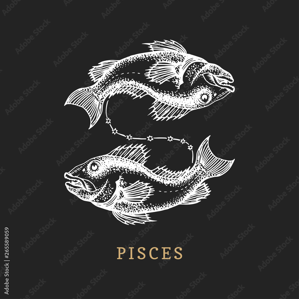 Pisces zodiac symbol, hand drawn in engraving style. Vector graphic retro illustration of astrological sign Fish. Pisces zodiac symbol, hand drawn in engraving style. Vector graphic retro illustration of astrological sign Fish.