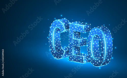 Chief Executive Officer, CEO on monitor screen. Device, leadership, headship concept. Abstract, digital, wireframe, low poly mesh, vector blue neon 3d illustration. Triangle, line, dot, star