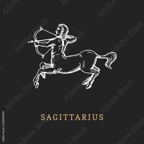 Sagittarius zodiac symbol, hand drawn in engraving style. Vector graphic retro illustration of astrological sign Centaur