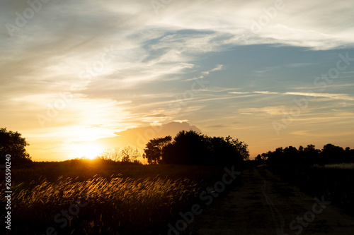 Evening atmosphere of golden pastures and rural roads.