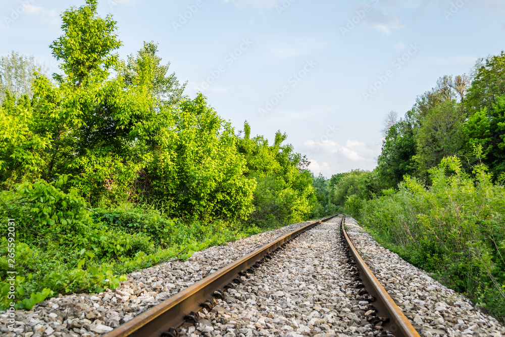 Obraz premium Abandoned railroad background