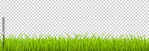 Green Grass realistic. Spring grass, field, nature eco - stock vector.