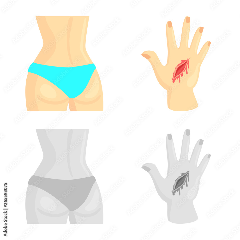 Isolated object of hospital and rendering icon. Collection of hospital and help stock symbol for web. Isolated object of hospital and rendering icon. Collection of hospital and help stock symbol for web.