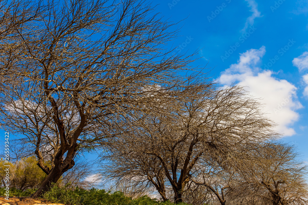 Warm windy day Warm windy day