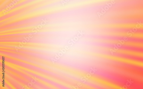 Light Orange vector backdrop with curved lines.