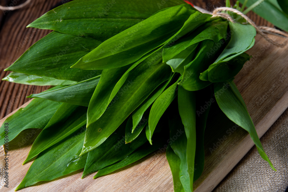 Obraz premium allium ursinum fresh ramson with lots of valuable vitamins