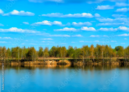 Dramatic spring forest at river bank landscape background hd