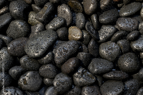 Black stones with water droplets, abstract background spa.
