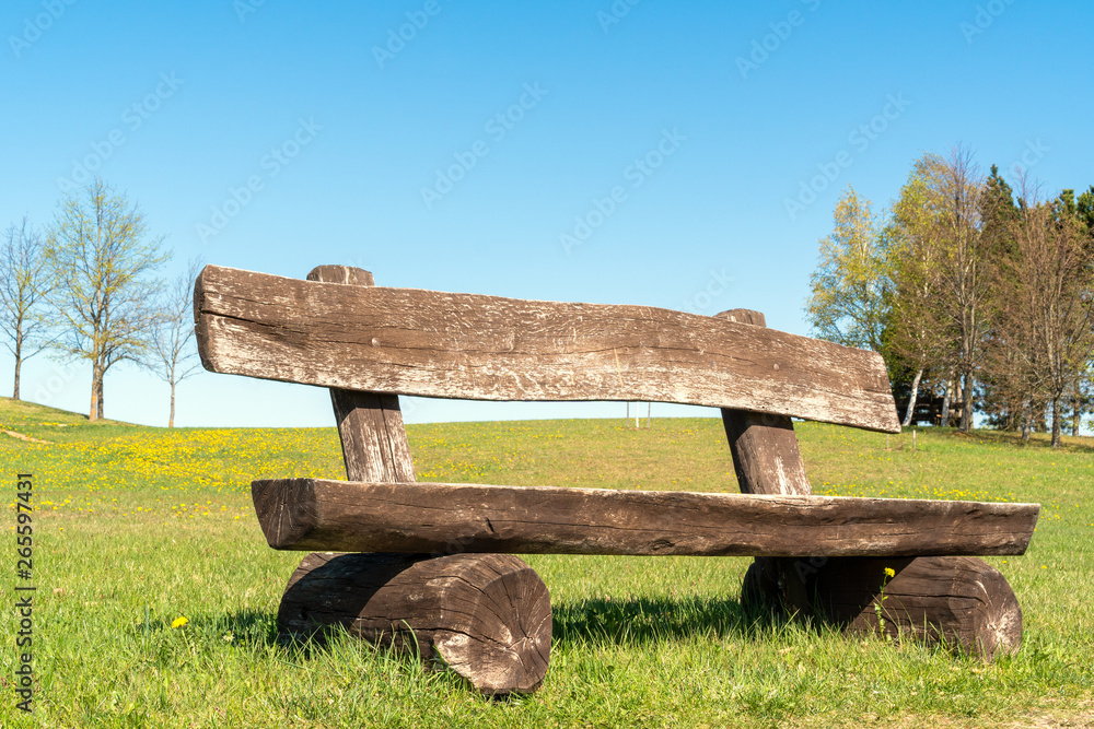 The empty wood bench during spring season The empty wood bench during spring season