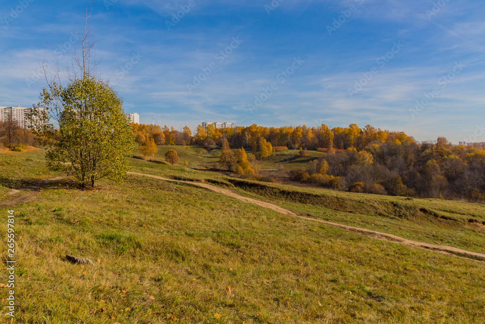 Naklejka premium Landscape view in the park