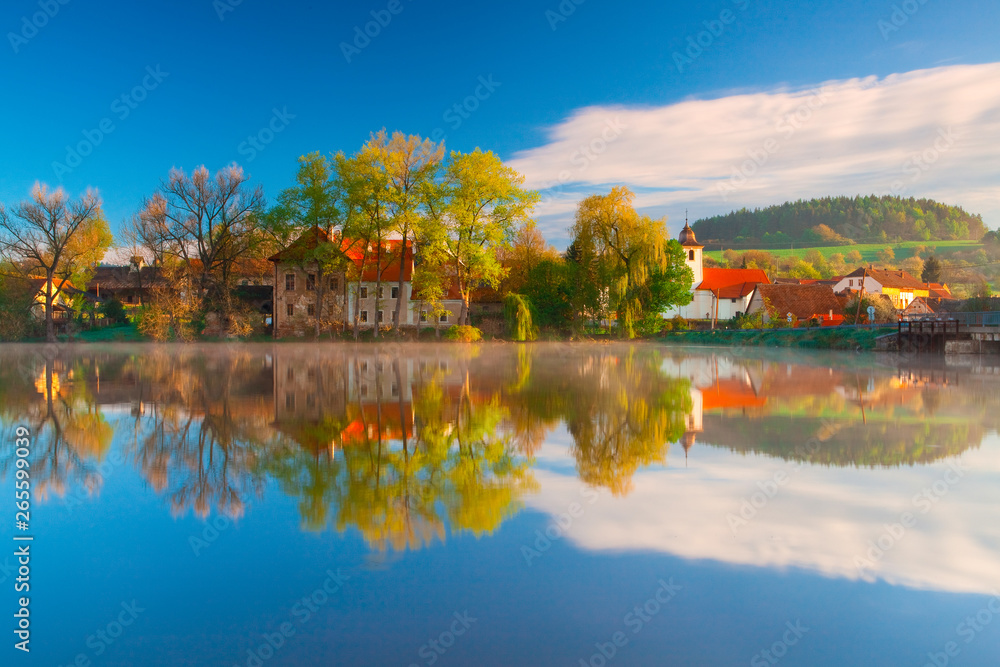 Symmetry on the pond in autumn, Popovice, Czech Republic.