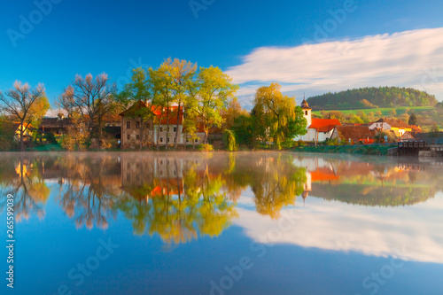 Symmetry on the pond in autumn, Popovice, Czech Republic.
