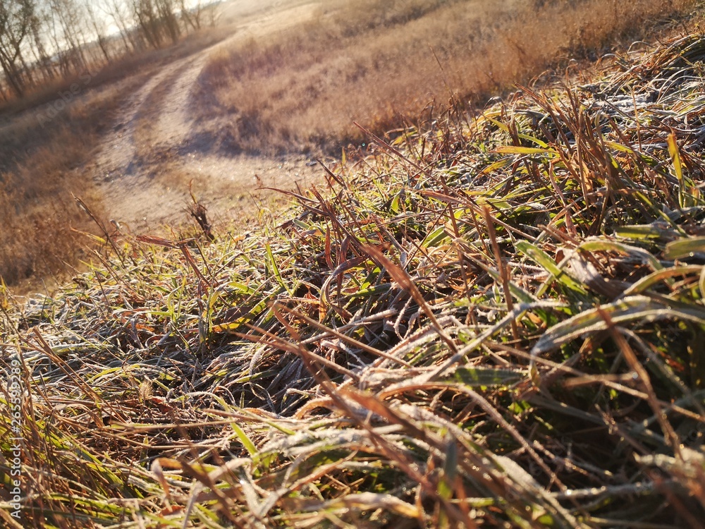 Obraz premium Утро