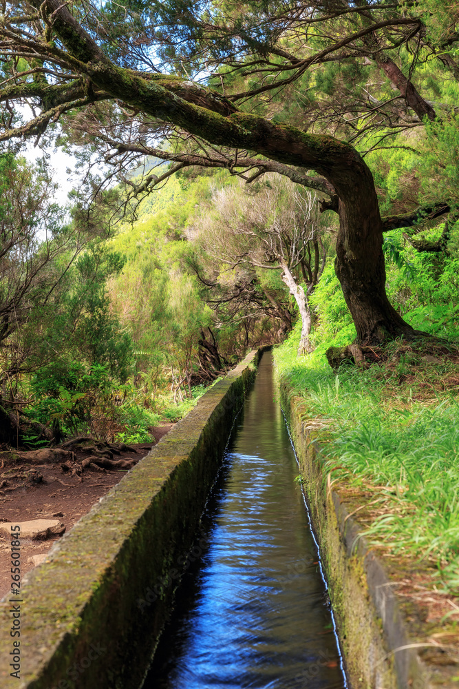 Beautiful landscape view of the hiking path in nature on the green island Madeira, during a hike on 25 Fontes trail along a famous levada Beautiful landscape view of the hiking path in nature on the green island Madeira, during a hike on 25 Fontes trail along a famous levada