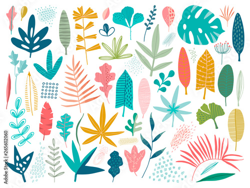 Leaves Collection Modern Design