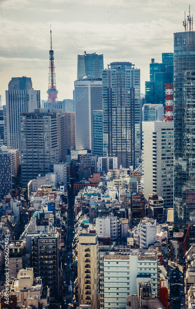 Aerial view on modern buildings of Akasaka district, Japan Aerial view on modern buildings of Akasaka district, Japan