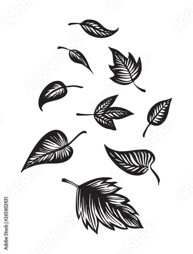 Hand drawn leaves set outline sketch. Vector black ink drawing isolated on white background. Graphic illustration