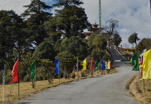 Road and stairs decorated with colored flags to Druk Wangyel Monastery from Dochala pass in Bhutan photo