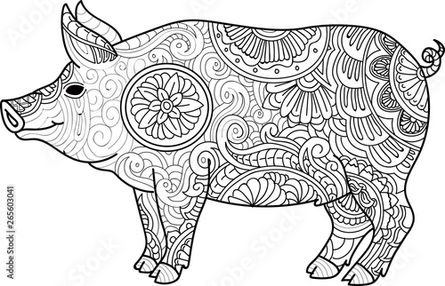 Fototapeta Naklejka Na Ścianę i Meble -  Vector illustration Hand Drawing zentangle pig for coloring book for adult or other decorations. 