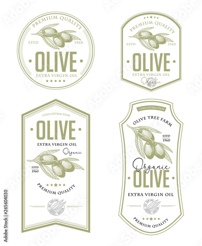 Olive oil badge label design set. Vector hand drawn illustration of olive branches in engraving technique. Vintage templates for olive oil packaging. 