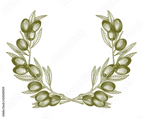 Olive wreath. Vector illustration of olive tree twigs in engraving technique on white background.