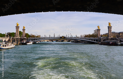 Historic bridge (Pont Alexandre III) over the River Seine in Paris France © OLAYOLA
