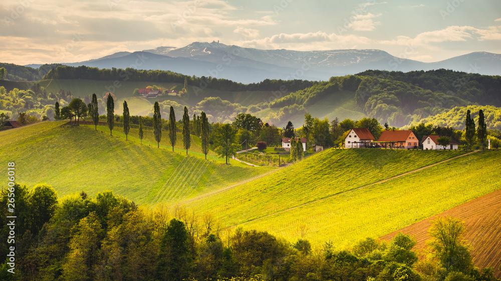 Grape hills view from wine road in Austria. South styria vineyards landscape. Sulztal