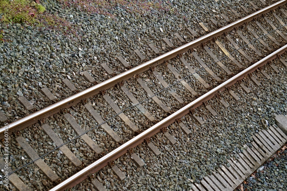 Naklejka premium old train tracks in the station in the street