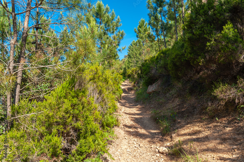 Hiking trail to the Pic du Cap Roux near Antheor Hiking trail to the Pic du Cap Roux near Antheor
