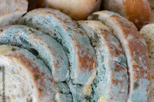 Bread wastage and Moldy bread slices