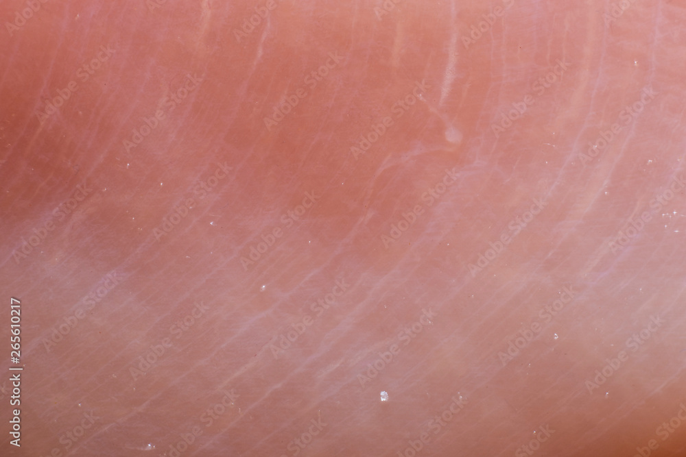 Fototapeta premium Chicken meat extreme macro background