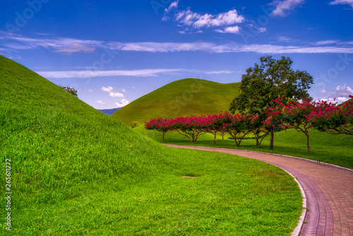 Vertical conceptual view of a hill and sky with clouds in the Gyeongju Tumuli Park
