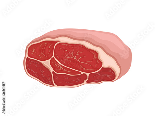 Fresh raw piece of meat. Vector illustration on white background.
