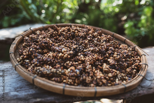 Kopi luwak or civet coffee, is one of the world's most expensive and low-production varieties of Luwak coffee as made and sold in Bali, Indonesia photo