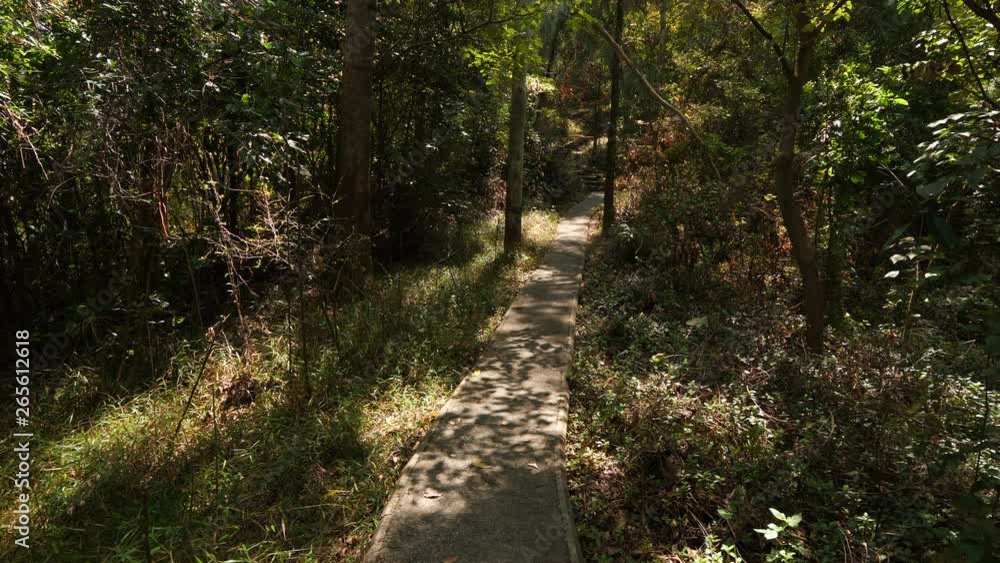 Woman run down by trail at on forested hill, approach and pass by camera. Mixed plants around, sun shine through leaves, sunlight patches on ground. Girl wear casual clothes and jeans Woman run down by trail at on forested hill, approach and pass by camera. Mixed plants around, sun shine through leaves, sunlight patches on ground. Girl wear casual clothes and jeans