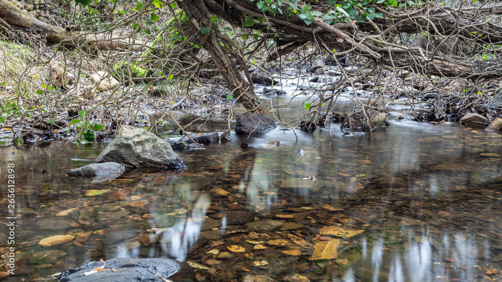 creek in extremadura, spain