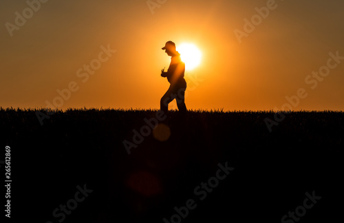 Silhouette of senior farmer walking in field examining crop at sunset.