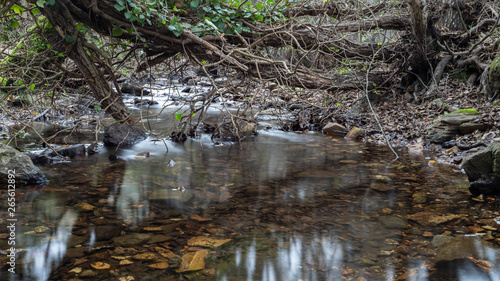 Obraz na płótnie creek in extremadura, spain w salonie