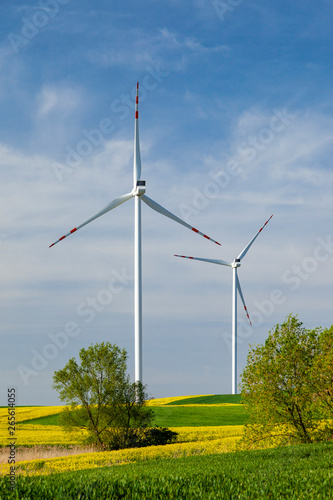 Turbiny wiatrowe na polu z rzepakiem