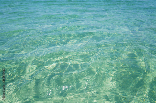 Wallpaper Mural Transparent clean sunny ocean sea water waves for background and texture. Torontodigital.ca